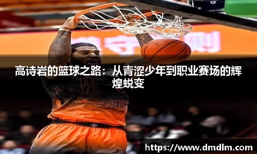 高诗岩的篮球之路：从青涩少年到职业赛场的辉煌蜕变